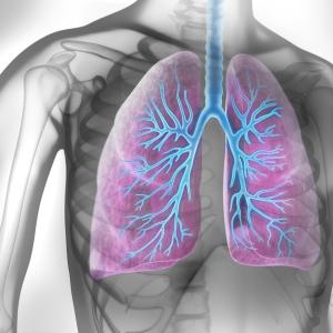 Pulmonary hypertension linked to poor outcomes in COPD