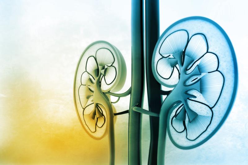 Reduced kidney function, urine output tied to kidney nonrecovery in COVID-19 patients