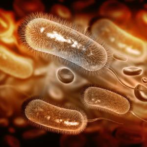 Delayed H. pylori eradication retreatment ups subsequent upper GI bleeding risk