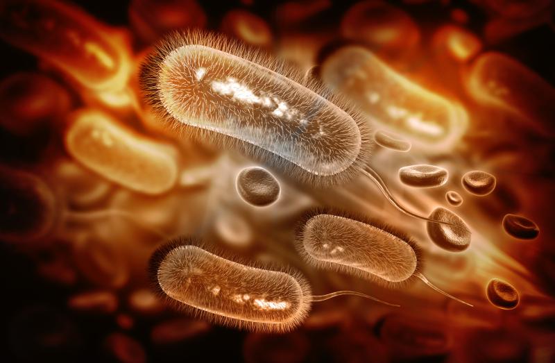 Delayed H. pylori eradication retreatment ups subsequent upper GI bleeding risk