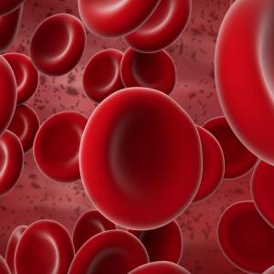 Haemoglobin levels predict outcomes in nondialysis CKD