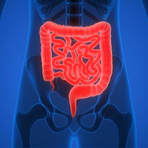 Nutrient diversion from proximal to distal small intestine eases hypotension in T2DM