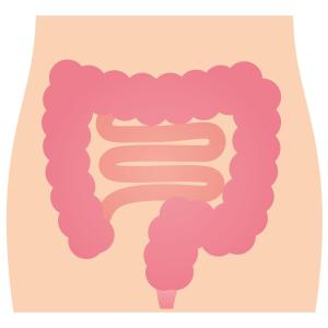 Early constipation portends progression to dementia in Parkinson’s disease patients