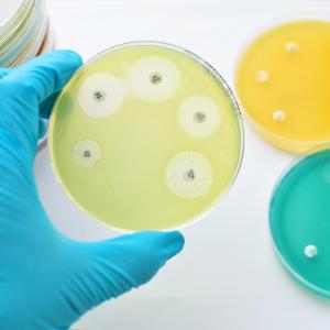 Paediatric UTI pathogens respond well to aminopenicillin, β-lactamase inhibitors