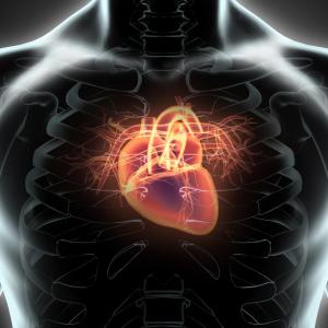 Amulet device for left atrial appendage occlusion does not lead to greater thrombus formation