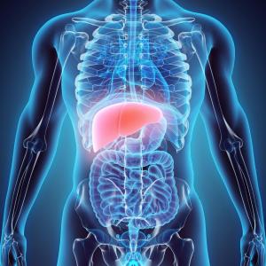 NASH may soon be the leading indication for liver transplantation