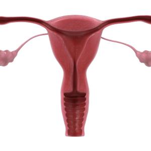 Dual-function hydrogel implant helps stop endometriosis, pregnancy