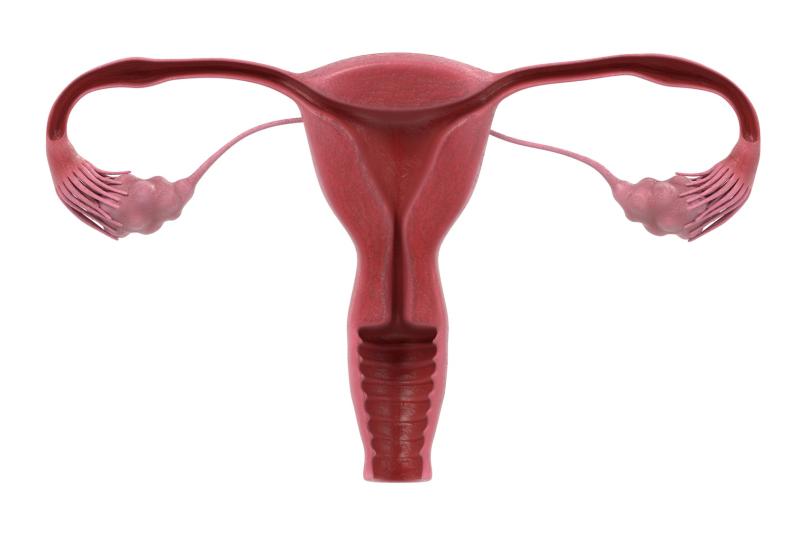 Dual-function hydrogel implant helps stop endometriosis, pregnancy