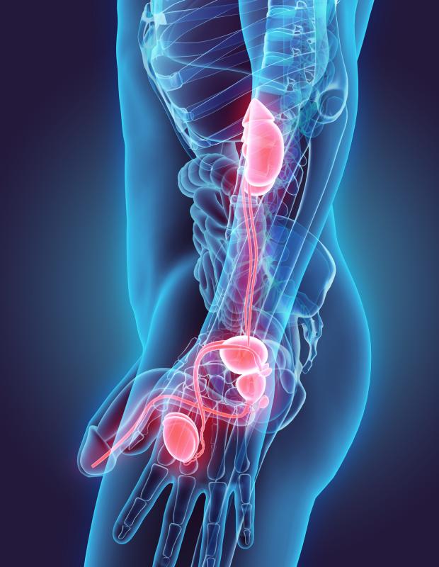 Intraurethral lidocaine reduces pain during flexible cystoscopy