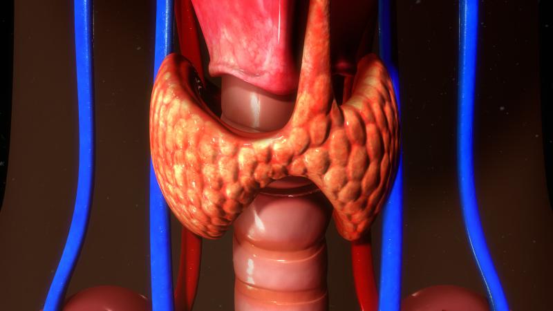 Mental health conditions prevalent in paediatric patients with hyperthyroidism