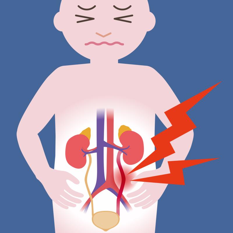 Adult-sized instruments feasible for use in paediatric percutaneous nephrolithotomy