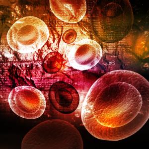 Plasma cells linked to survival benefit in severe COVID-19