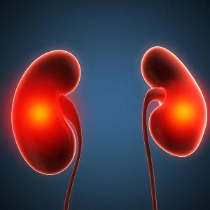 Death, CV risks increase with reduced renal function in diabetics