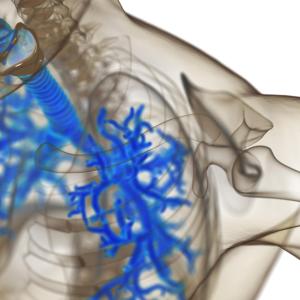 Azithromycin confers no effect on bronchial wall thickness, increases lumen area, radius