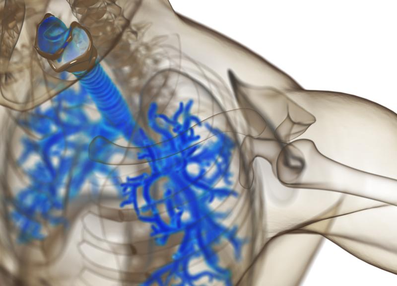 Azithromycin confers no effect on bronchial wall thickness, increases lumen area, radius