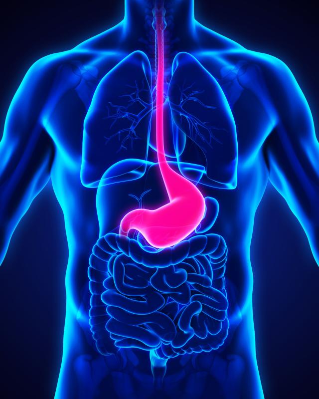 Peroral endoscopic myotomy offers long-term benefits in jackhammer esophagus