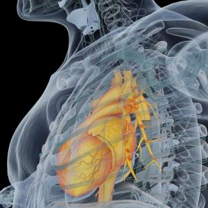 Haemoglobin drop ups death risk in hospitalized ACS patients