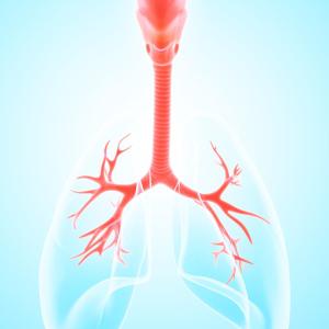 Chronic airway inflammation implicated in RA pathogenesis