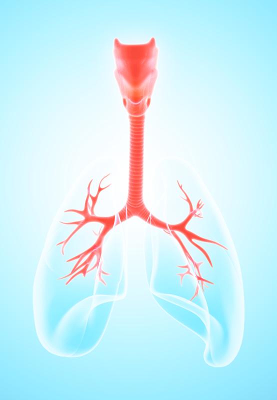 Chronic airway inflammation implicated in RA pathogenesis