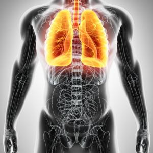 Diagnostic delay in PAH persists, linked to lower survival
