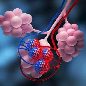 Transbronchial cryobiopsy safe, effective for characterizing small airway diseases