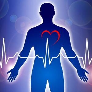 Heart fat tied to coronary artery spasms