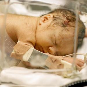 Oropharyngeal colostrum may have limited value in preterm infants