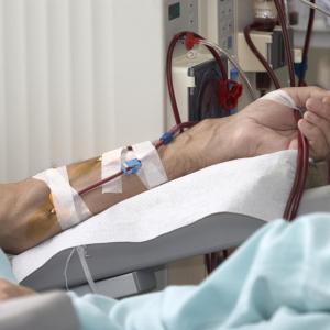 Anti-SARS-COV-2 antibodies decline rapidly in haemodialysis patients