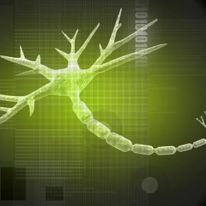 Safinamide for Parkinson’s: Dyskinesia up short term, motor symptoms down long term