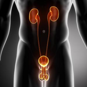 Obstructive uropathy duration a risk factor for poor renal outcomes in AKI patients with APN