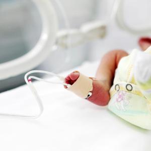 Multistrain probiotics improve survival outcomes in preemies