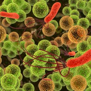 What factors predict staphylococcal bacteraemia in paediatric patients?