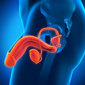 Verapamil reduces penile curvature, plaque size in Peyronie’s disease