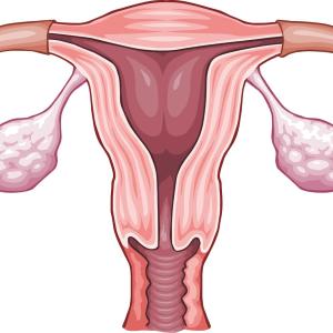 Risk of transmitting COVID-19 through vaginal fluids low