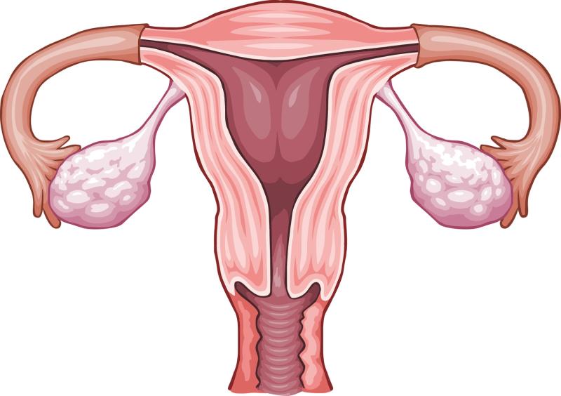 Risk of transmitting COVID-19 through vaginal fluids low