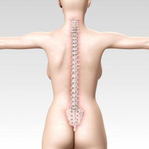 Romosozumab prevents new vertebral fractures in postmenopausal women with osteoporosis