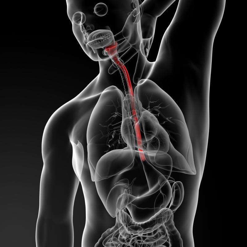 Radiotherapy with concurrent docetaxel beneficial in seniors with oesophageal cancer