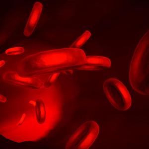 Anaemia risk factor for death in heart failure