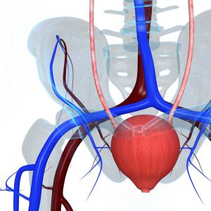 Lower urinary tract syndrome prevalent in systemic sclerosis