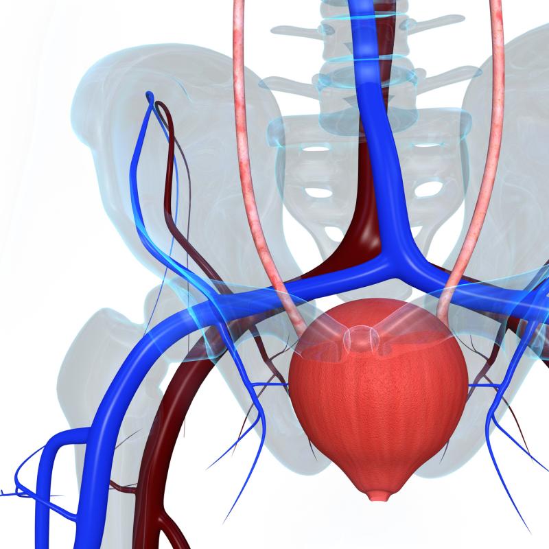 Solifenacin improves urinary symptoms but worsens constipation in MS patients with OAB