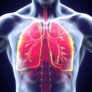 Chronic bronchial infection predicts inflammation, higher CV events in COPD