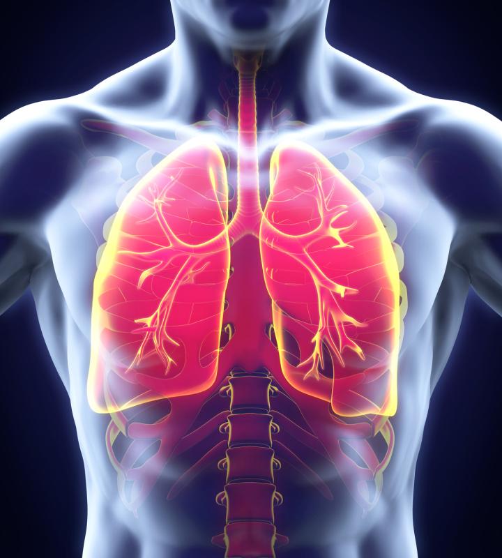 Chronic bronchial infection predicts inflammation, higher CV events in COPD