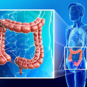 Sigmoidoscopy screening offers 15-year benefit in CRC incidence, mortality