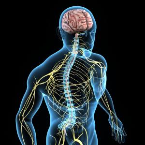 Diabetic peripheral neuropathy manifests diverse sensory symptoms