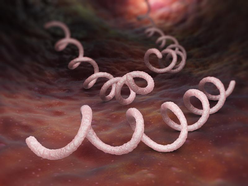 One BPG dose may be enough to treat syphilis, regardless of HIV status