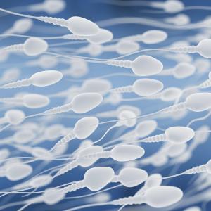 Formaldehyde exposure negatively impacts semen quality