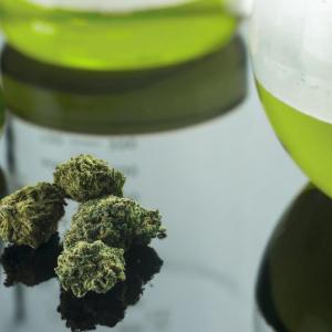 Cannabis shows antiemetic potential