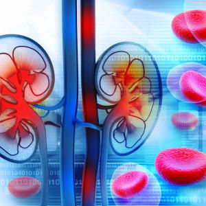 Glucose-, lipid-lowering drugs put brakes on CKD progression