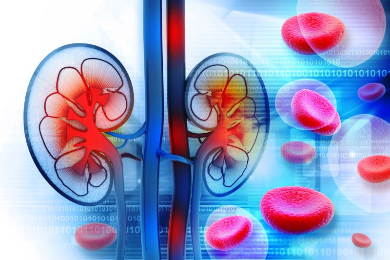 Charlson Comorbidity Index a valuable tool in estimating renal cell carcinoma prognosis