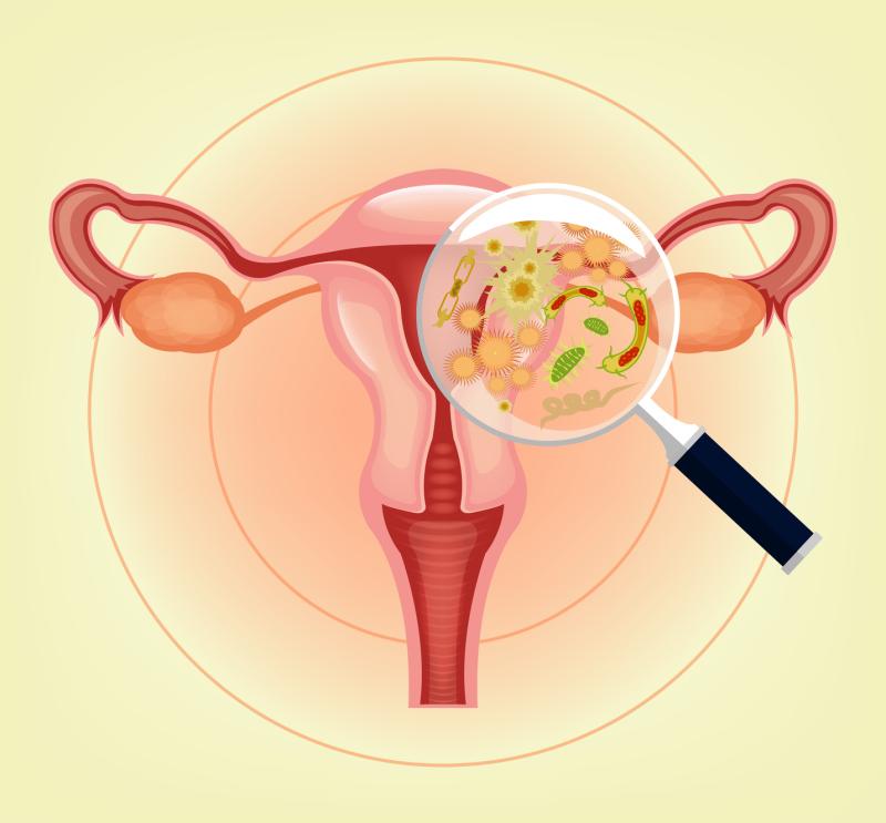 Cultivable vaginal Lactobacillus not linked to fecundability